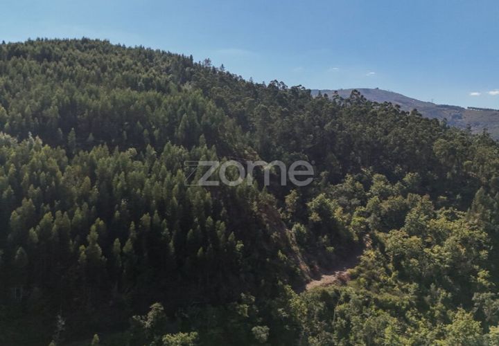 Tomt i Folques, Coimbra, Folques - € 39 900 | Ref: ZMPT581750 - foto 1