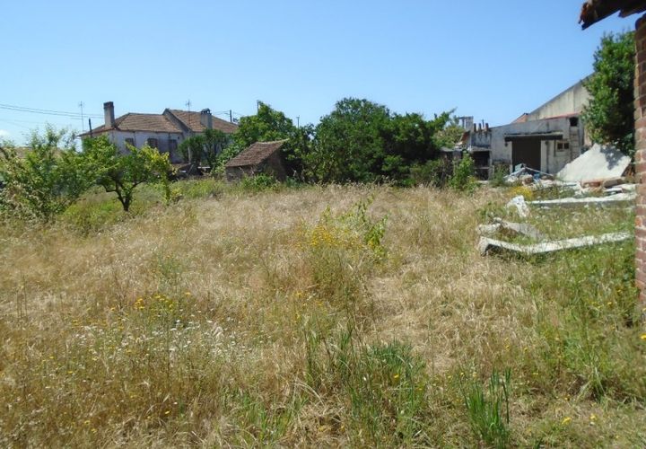 Helårsgrund i Pataias, Leiria, Pataias - € 160.000 | Ref: LE99417NZ - foto 1