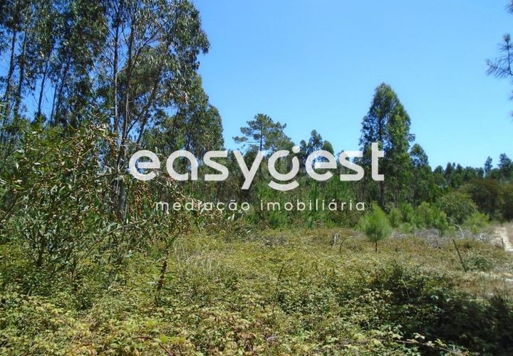 Helårsgrund i Pataias, Leiria, Pataias - € 50.000 | Ref: LE88877NZ - foto 1