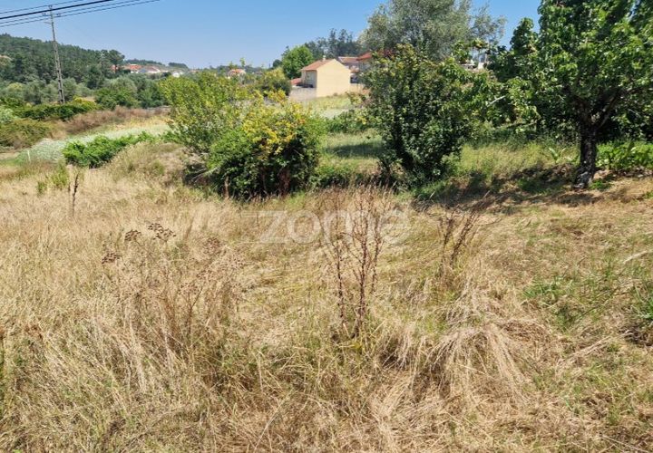 Tomt i Soure, Coimbra, Soure - € 39 000 | Ref: ZMPT579550 - foto 1