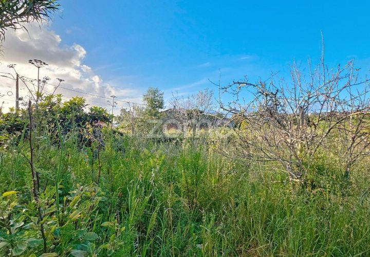 Haus in Alqueidao, Coimbra, Alqueidao - € 49.900 | Ref: ZMPT576450 - Foto 1