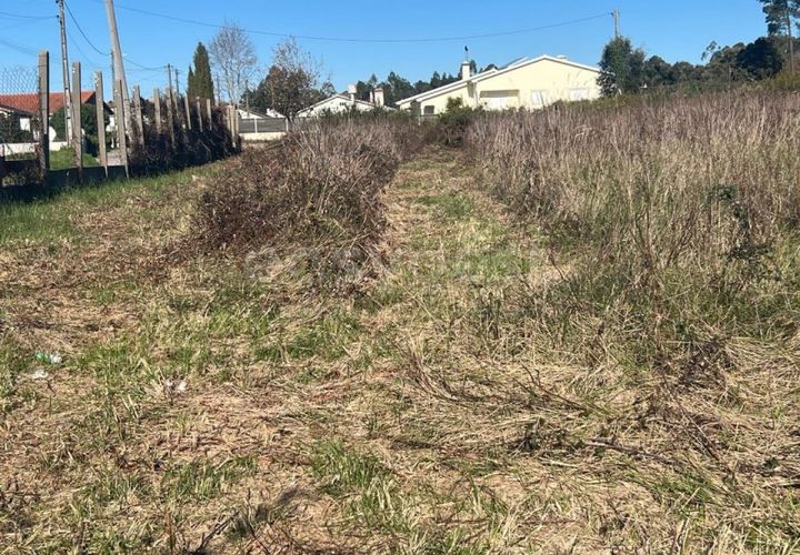Helårsgrund i Monte Real, Leiria, Monte Real - € 450.000 | Ref: LE99009NZ - foto 1