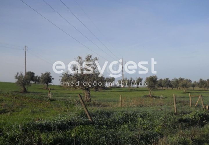 Terra a Aljustrel, Beja, Aljustrel - € 47.500 | Ref: BJ39521 - foto 1