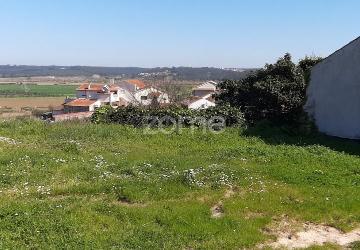 Terra a Gesteira e Brunhos, Coimbra, Gesteira e Brunhos - € 25.000 | Ref: ZMPT538802 - foto 1