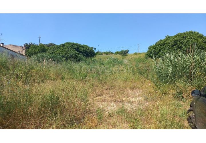 Terra em Pernes, Santarem, Pernes - € 26.900 | Ref: TM97455 - foto 1