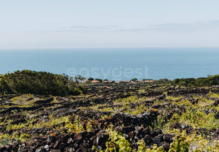 Terra a Sao Mateus, Graciosa, Sao Mateus - € 86.000 | Ref: AZ99033FR - foto 1