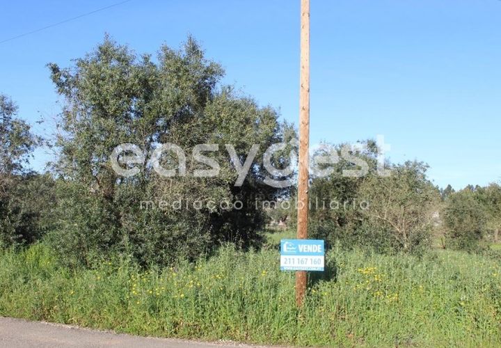 Helårsgrund i Asseiceira, Santarem, Asseiceira - € 25.000 | Ref: TM92042 - foto 1