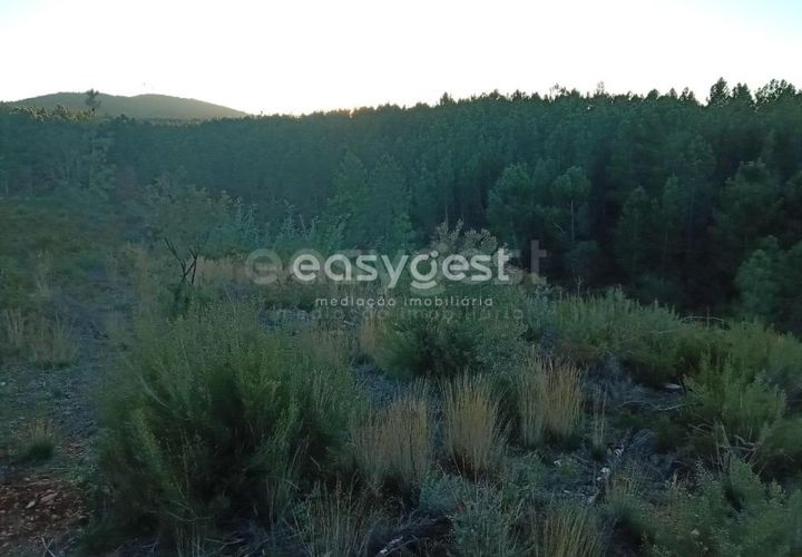 Helårsgrund i Fundao, Castelo Branco, Fundao - € 75.000 | Ref: CB94333MA - foto 1