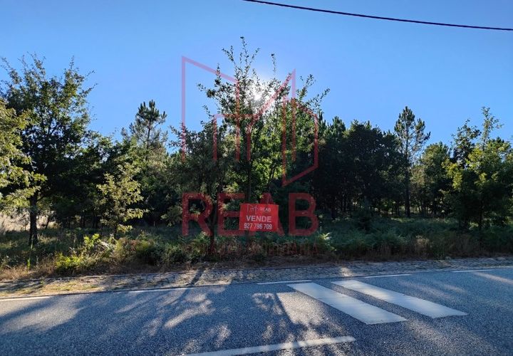 Tomt i Aguiar da Beira, Guarda, Aguiar da Beira - € 45 000 | Ref: 179/ 2024 - foto 1