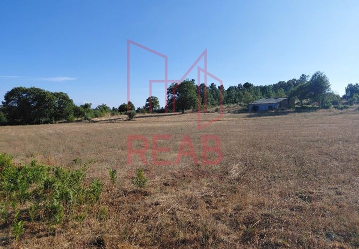 Terra a Quintela, Viseu, Quintela - € 60.000 | Ref: 236B/ 2025 - foto 1