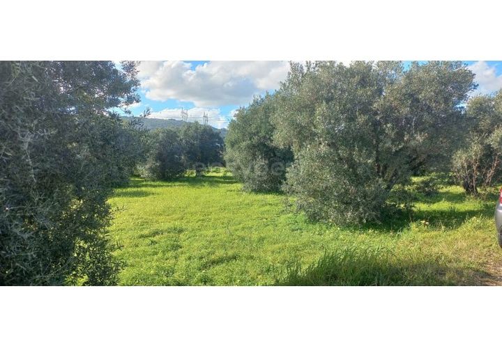 Terra a Alverca do Ribatejo, Lisbon, Alverca do Ribatejo - € 800/mes | Ref: ST96893EP - foto 1