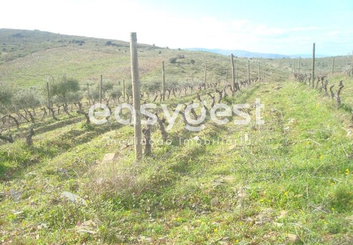 Terra a Castelo Melhor, Guarda, Castelo Melhor - € 1.700.000 | Ref: BG73322TM - foto 1