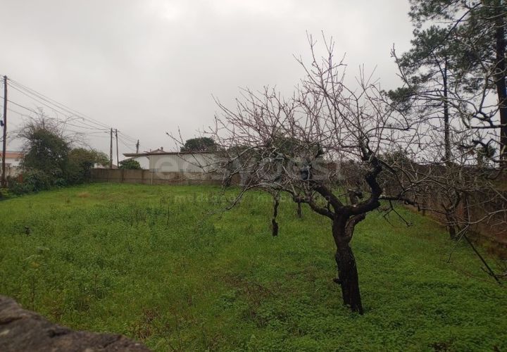 Helårsgrund i Pataias, Leiria, Pataias - € 42.000 | Ref: LE98605NZ - foto 1