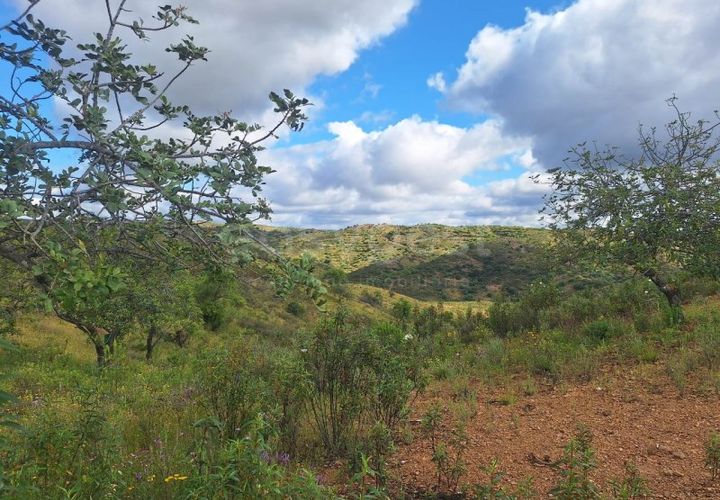 Helårsgrund i Castro Marim, Faro, Castro Marim - € 27.500 | Ref: AL98103VR - foto 1