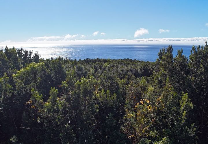 Terra a Sao Mateus, Graciosa, Sao Mateus - € 107.500 | Ref: AZ98381MK - foto 1