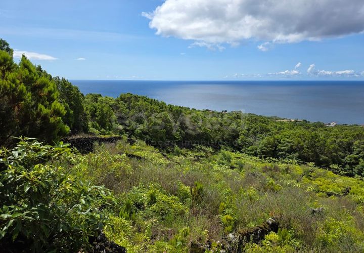 Helårsgrund i Sao Mateus, Graciosa, Sao Mateus - € 90.000 | Ref: AZ97665MK - foto 1