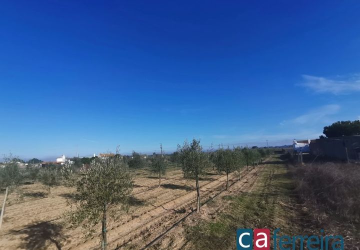 Helårsgrund i Benfica do Ribatejo, Santarem, Benfica do Ribatejo - € 115.000 | Ref: TER3909 - foto 1