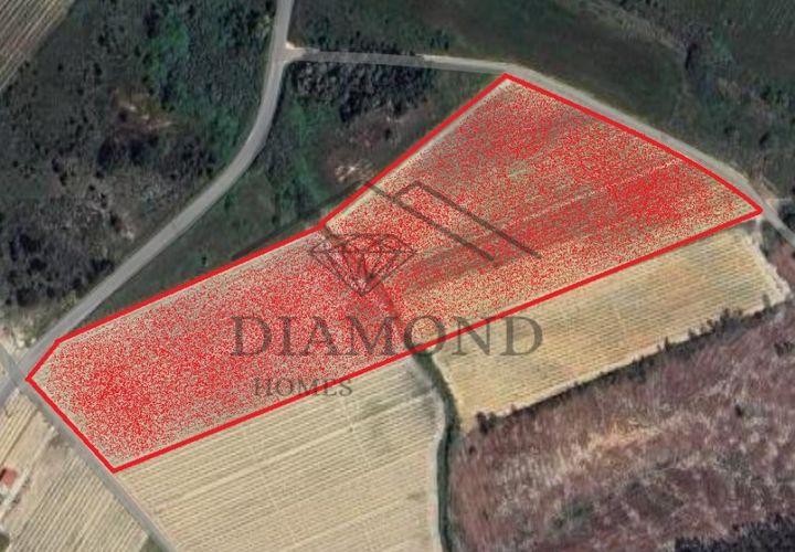 Terreno en Alpiarca, Santarem, Alpiarca - € 75.000 | Ref: DHTR-0007/24 - photo 1