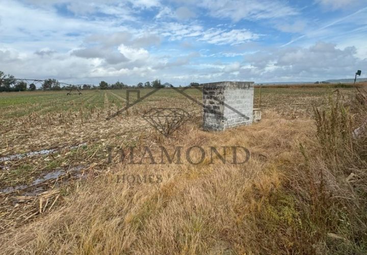 Helårsgrund i Chamusca, Santarem, Chamusca - € 315.000 | Ref: DHTR-0010/24 - foto 1