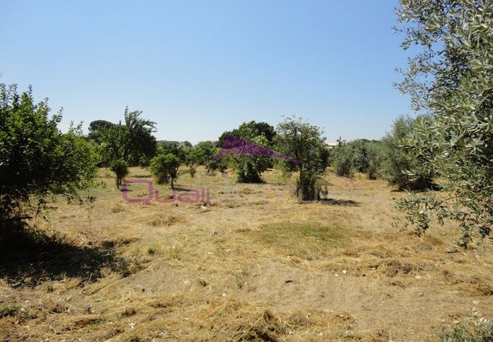 Helårsgrund i Entroncamento, Santarem, Entroncamento - € 165.000 | Ref: 1797 - foto 1