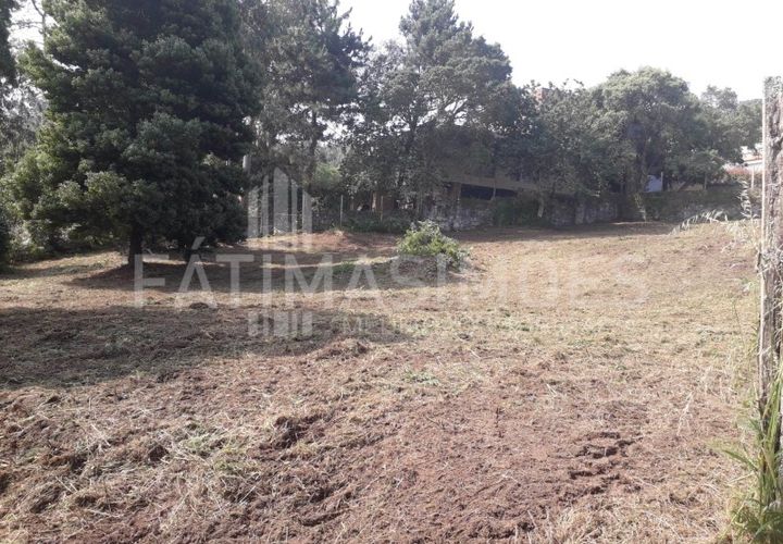 Helårsgrund i Caminha, Viana do Castelo, Caminha - € 100.000 | Ref: 935 - foto 1