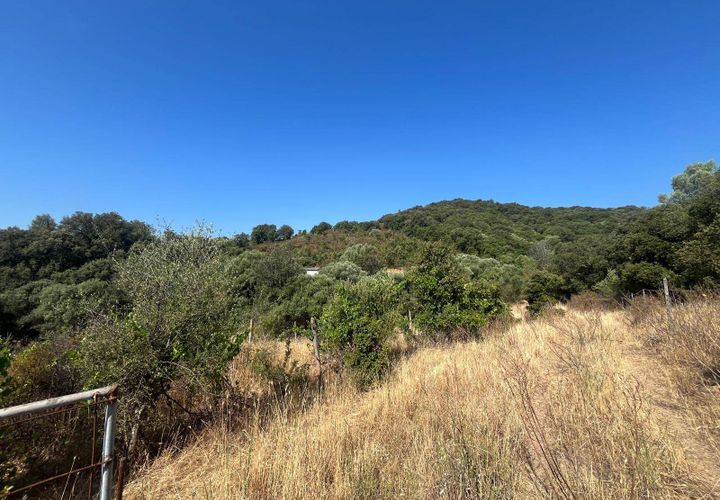 Terra a Monti, Sassari, Monti - € 110.000 | Ref: T1046-110 - foto 1