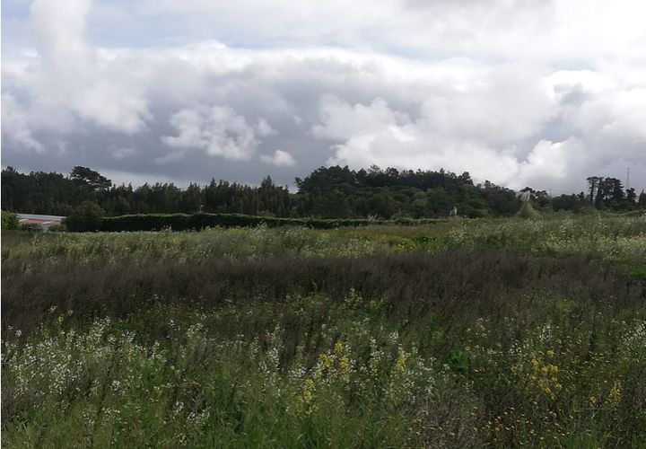 Helårsgrund i Ericeira, Lisbon, Ericeira - € 350.000 | Ref: LOTE_2871 - foto 1