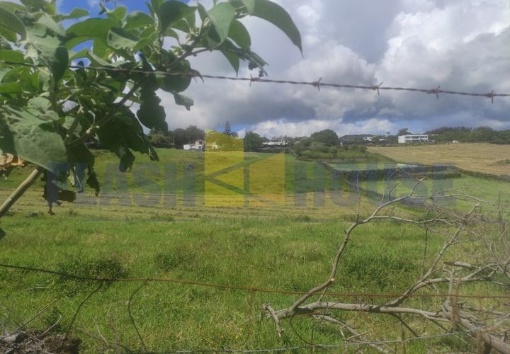 Helårsgrund i Sao Roque, Madeira, Sao Roque - € 350.000 | Ref: MPDL5049 - foto 1