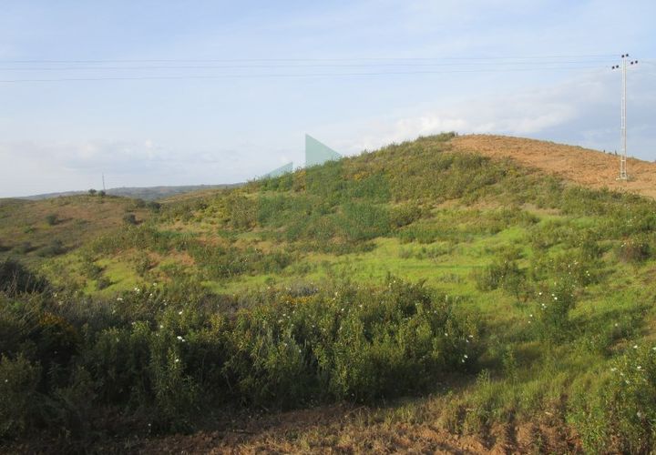 Helårsgrund i Castro Marim, Faro, Castro Marim - € 18.000 | Ref: 2001-102 - foto 1