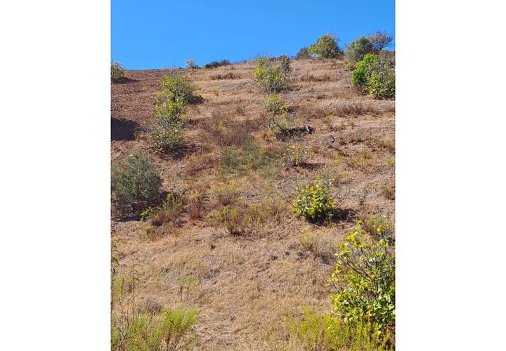 Helårsgrund i Castro Marim, Faro, Castro Marim - € 21.000 | Ref: 2001-111 - foto 1