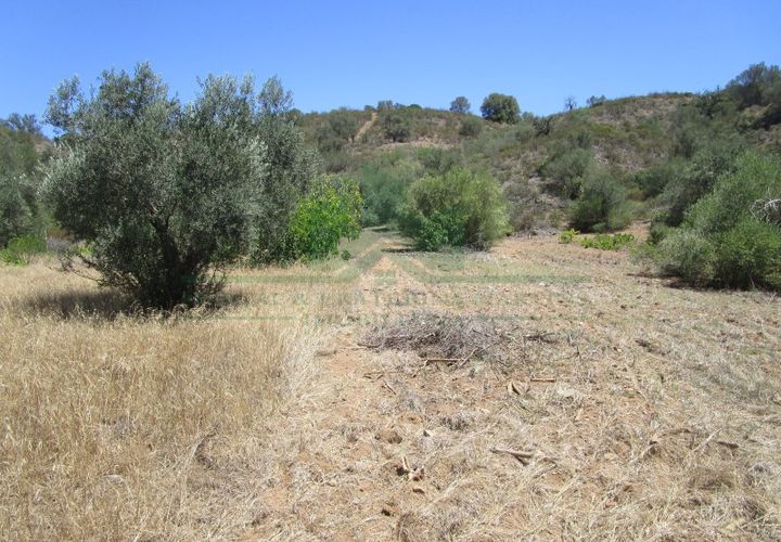 Helårsgrund i Castro Marim, Faro, Castro Marim - € 19.000 | Ref: 2001-120 - foto 1