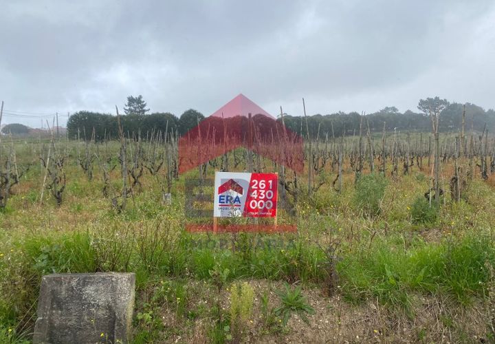 Terra a Bombarral, Leiria, Bombarral - € 95.000 | Ref: 130240081 - foto 1