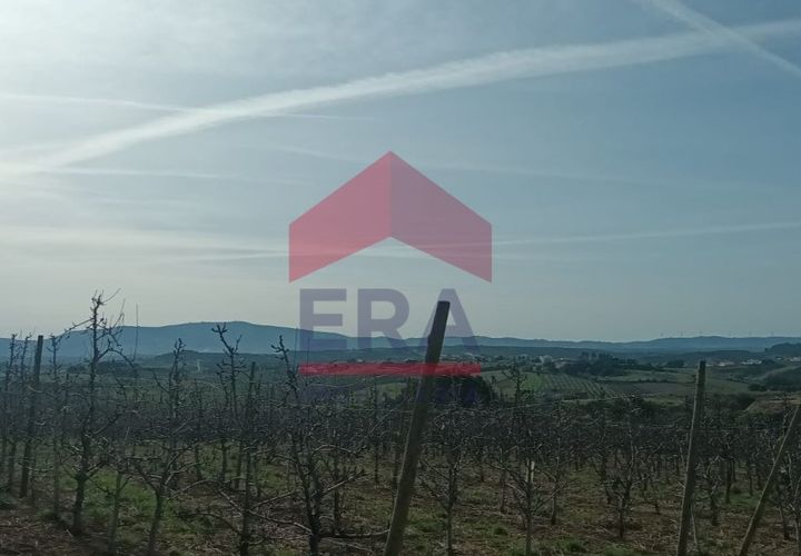 Terra a Bombarral, Leiria, Bombarral - € 1.280.000 | Ref: 130230068 - foto 1