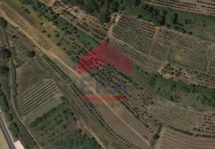 Terra a Bombarral, Leiria, Bombarral - € 12.500 | Ref: 130230213 - foto 1