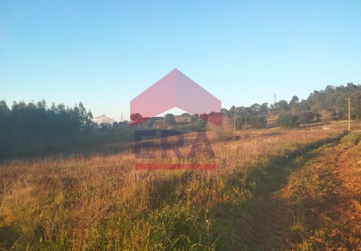 Terra a Bombarral, Leiria, Bombarral - € 75.000 | Ref: 130230027 - foto 1