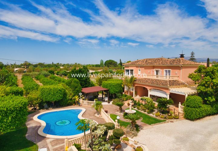 Landejendom i Elche, Alicante, Elche - € 799.000 | Ref: Elx MJ - foto 1