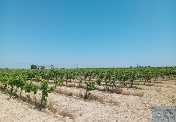 Helårsgrund i Montijo, Setubal, Montijo - € 2.000.000 | Ref: TERFIF002 - foto 1