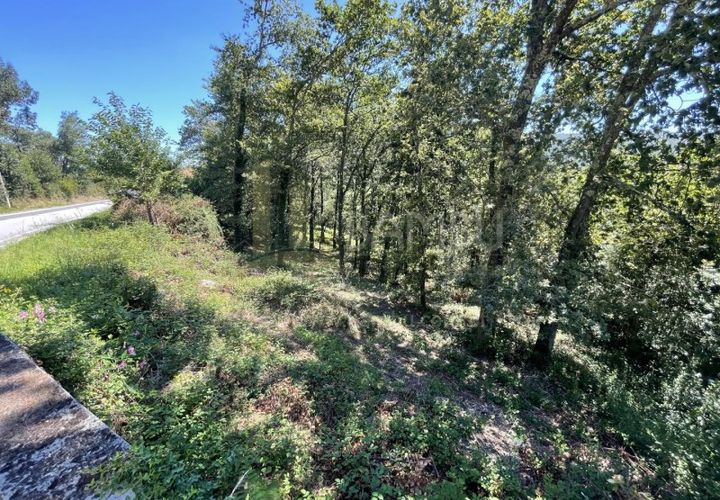 Grond in Venade e Azevedo, Viana do Castelo, Venade e Azevedo - € 36.000 | Ref: B2964 - foto 1