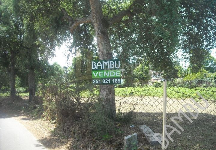 Terra em Valenca, Viana do Castelo, Valenca - € 45.000 | Ref: B0356 - foto 1