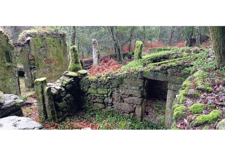 Ruïna a Caminha, Viana do Castelo, Caminha - € 59.500 | Ref: B2880 - foto 1