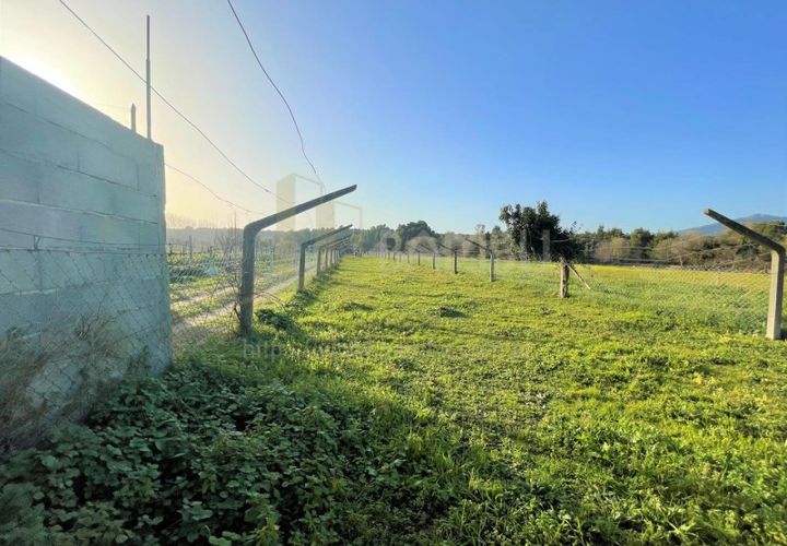 Terra a Caminha, Viana do Castelo, Caminha - € 40.500 | Ref: B2911 - foto 1
