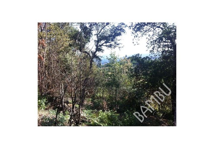 Grond in Venade e Azevedo, Viana do Castelo, Venade e Azevedo - € 50.000 | Ref: B1019 - foto 1
