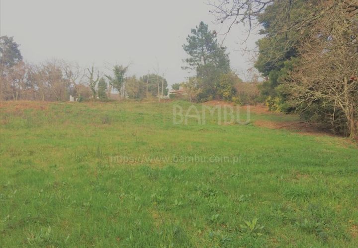 Terra a Caminha, Viana do Castelo, Caminha - € 200.000 | Ref: B2505 - foto 1