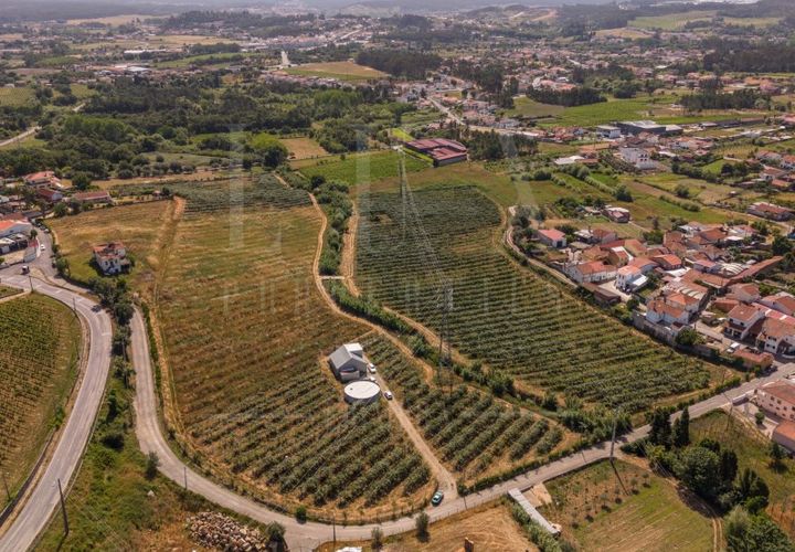 Granja a Anadia, Aveiro, Anadia - € 1.000.000 | Ref: LUX_CB-01524 - foto 1