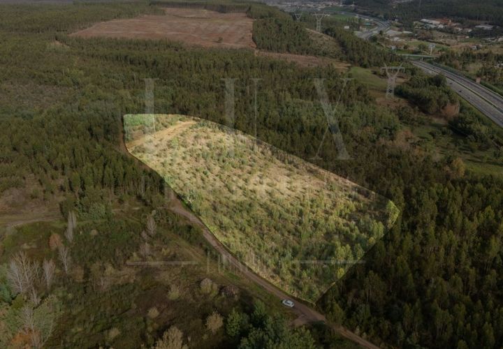 Terreno en Assafarge e Antanhol, Coimbra, Assafarge e Antanhol - € 60.000 | Ref: LUX_CB-01201 - photo 1