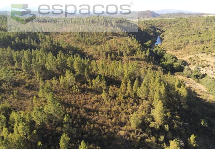 Helårsgrund i Castelo Branco, Castelo Branco, Castelo Branco - € 9.500 | Ref: 4510/EG - foto 1