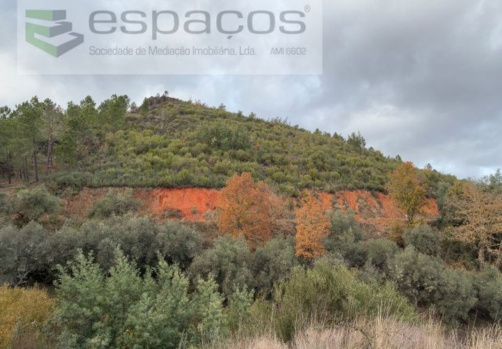 Farm i Fundao, Castelo Branco, Fundao - € 23.000 | Ref: 5896/CP-AG - foto 1