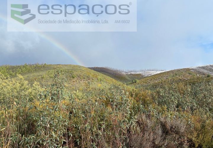 Tomt i Fundao, Castelo Branco, Fundao - € 35 000 | Ref: 5880/CP-AG - foto 1