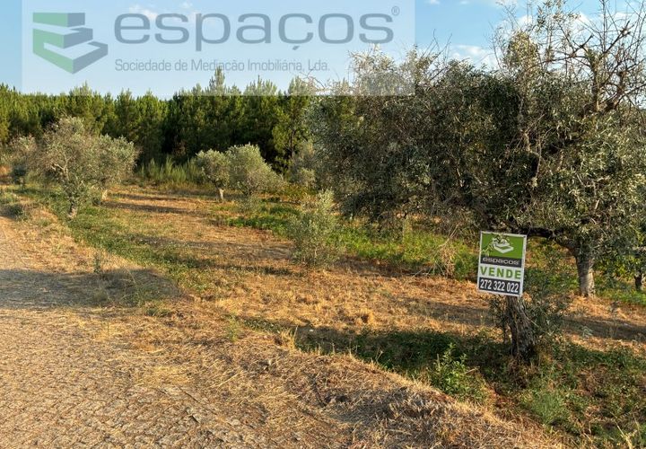 Tomt i Fundao, Castelo Branco, Fundao - € 40 000 | Ref: 5811/CP-AG - foto 1