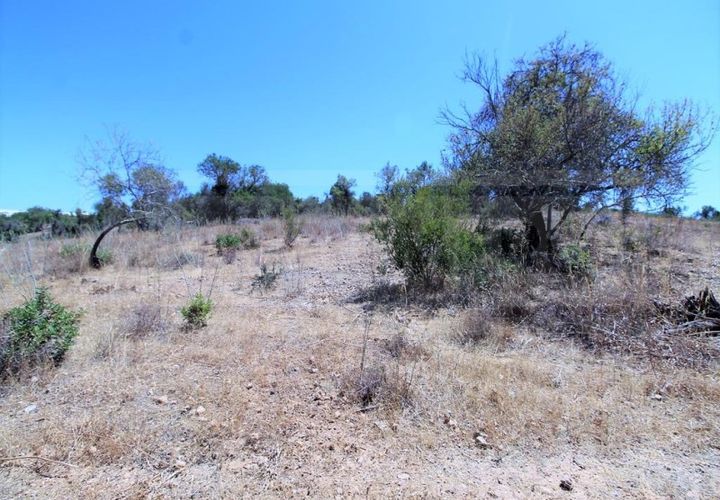 Helårsgrund i Algoz, Faro, Algoz - € 750.000 | Ref: STC2479 - foto 1